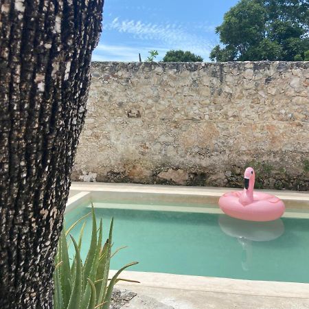 La Casa Rosal, Pool Villa Campeche Exterior foto